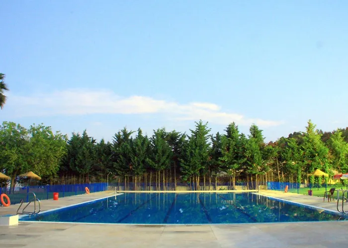 Camping Sierra De Las Nieves